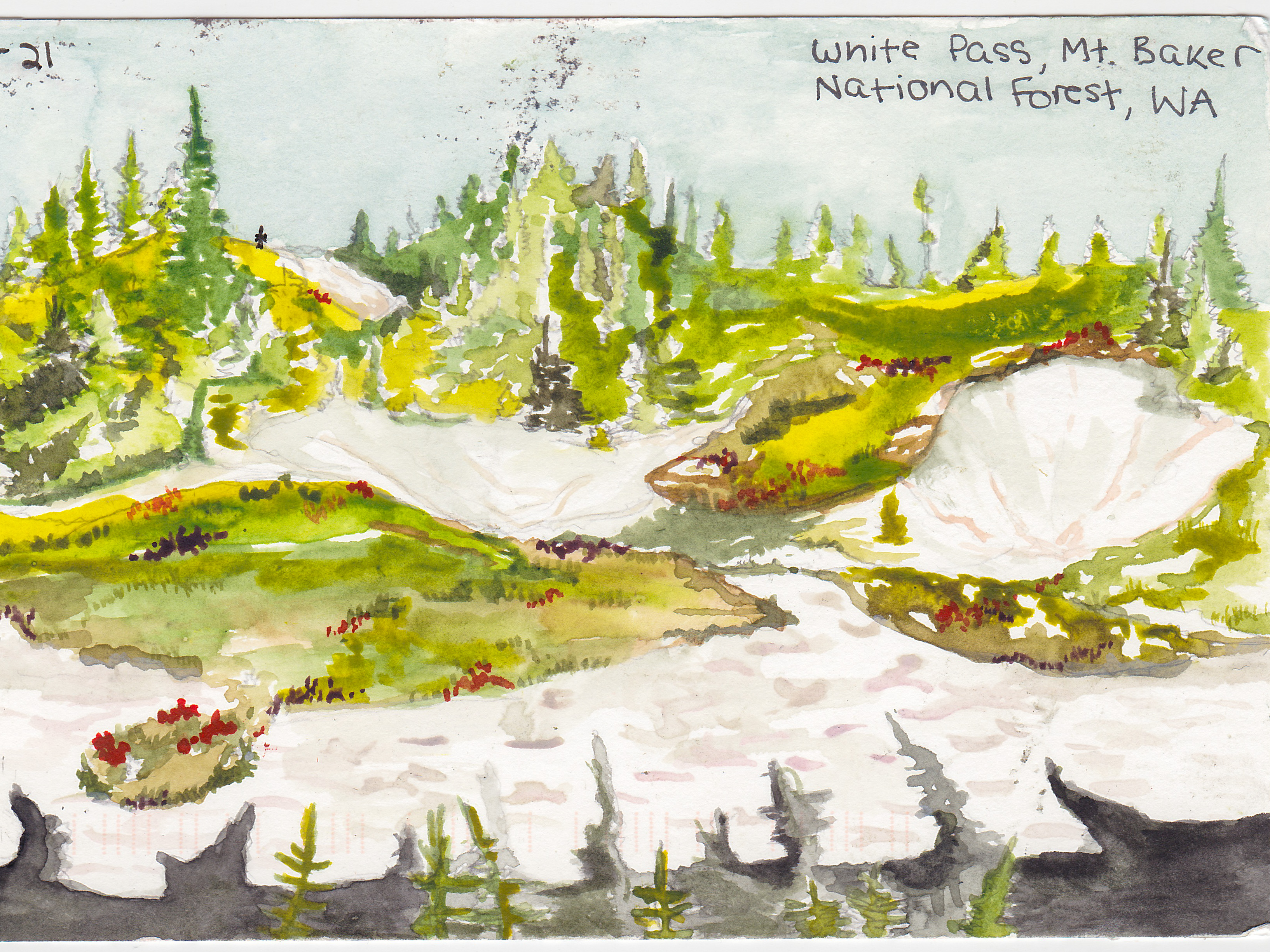 Акварельная картина Белого перевала в Национальном лесу Маунт-Бейкер с зеленой травой и красными цветами, смешанными со снежными полями и деревьями на расстоянии.