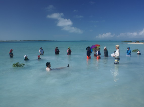 Группа выпускников NOLS собралась вместе, отдыхая в воде и слушая инструктора.
