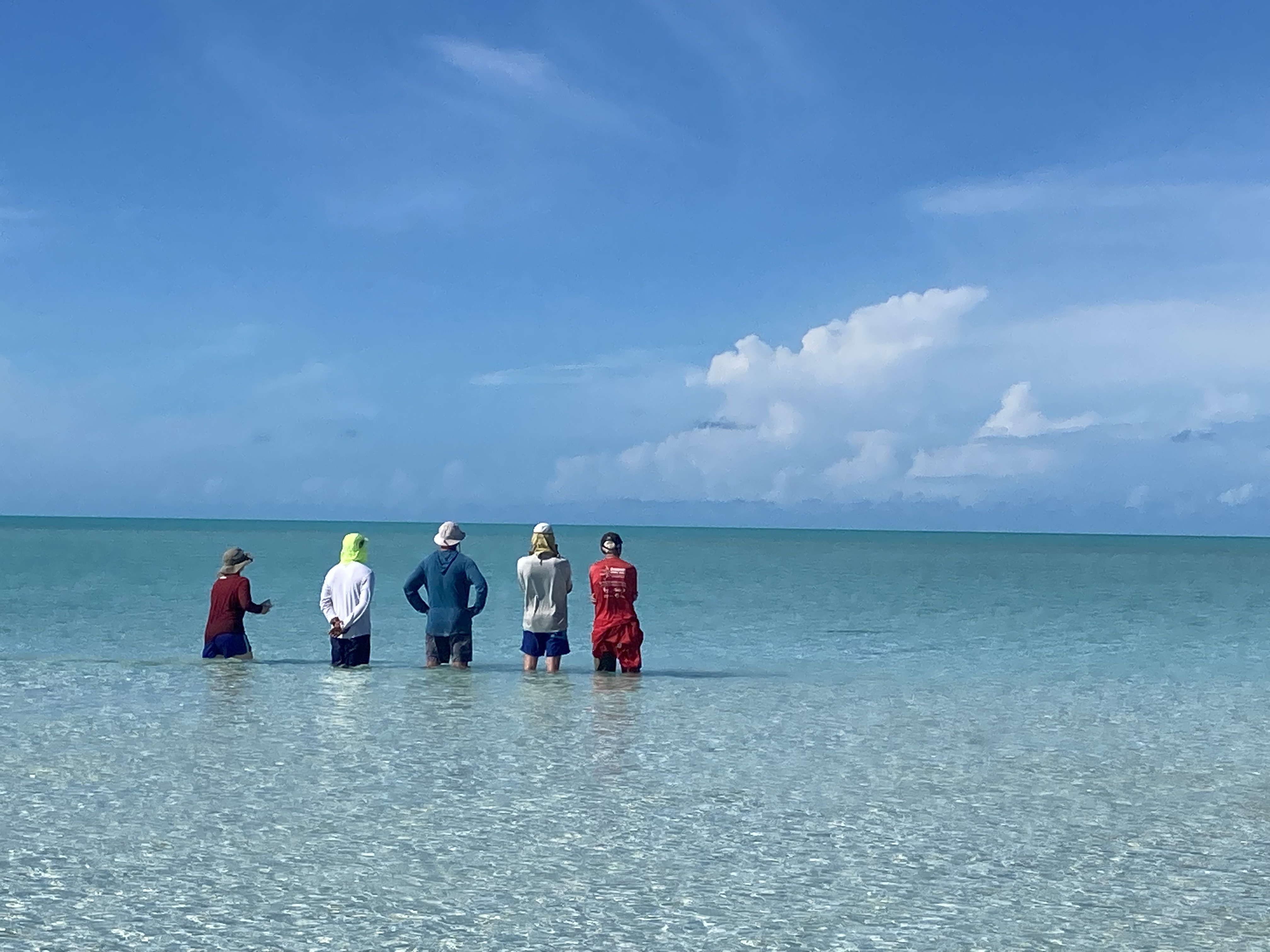 5 выпускников NOLS стоят в спокойной воде и смотрят на открытый океан.