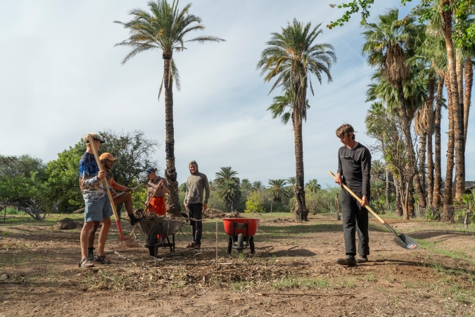 5 первокурсников работают лопатами под пальмами